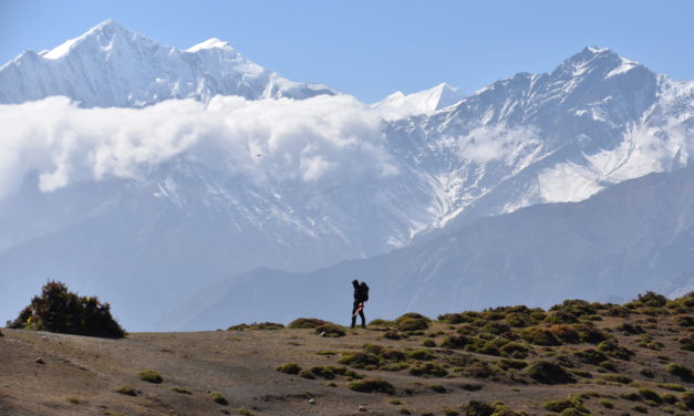 Le tour des Annapurnas – Jours 9 à 16