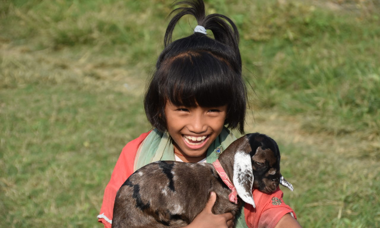 NEPAL SRIJANSHIL CHILDREN PROTECTION CENTER