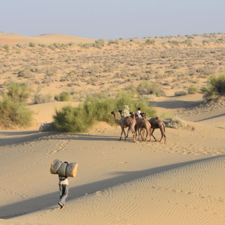 Jaisalmer et désert du Thar